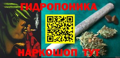 a pvp Аргун